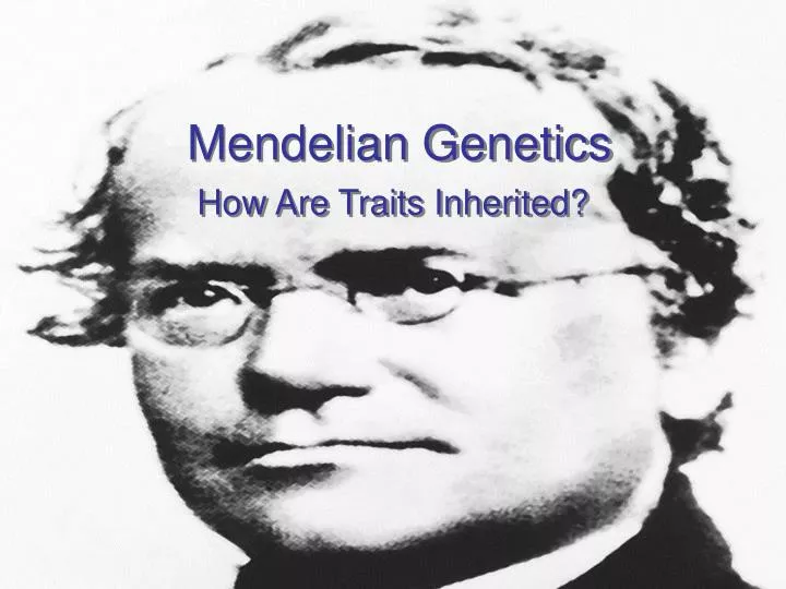 mendelian genetics