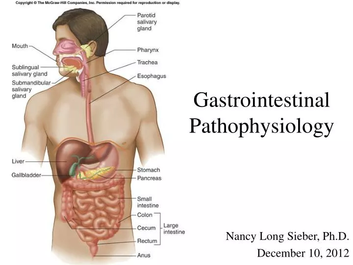 gastrointestinal pathophysiology