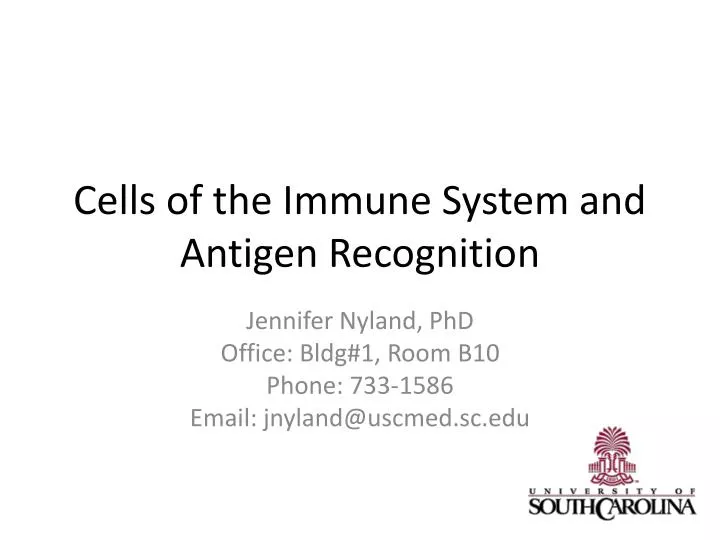 cells of the immune system and antigen recognition