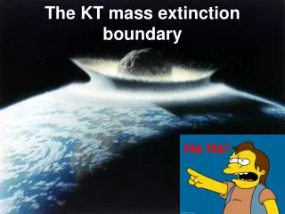 The KT mass extinction boundary