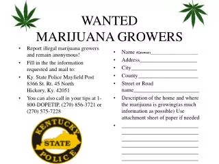 WANTED MARIJUANA GROWERS