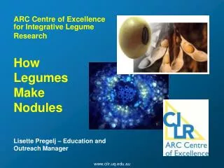 ARC Centre of Excellence for Integrative Legume Research How Legumes Make Nodules