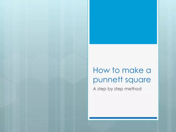 how to make a punnett square