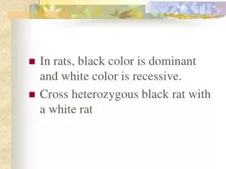 In rats, black color is dominant and white color is recessive.