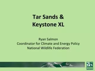 Impacts of tar sands on wildlife, water and communities in Canada.