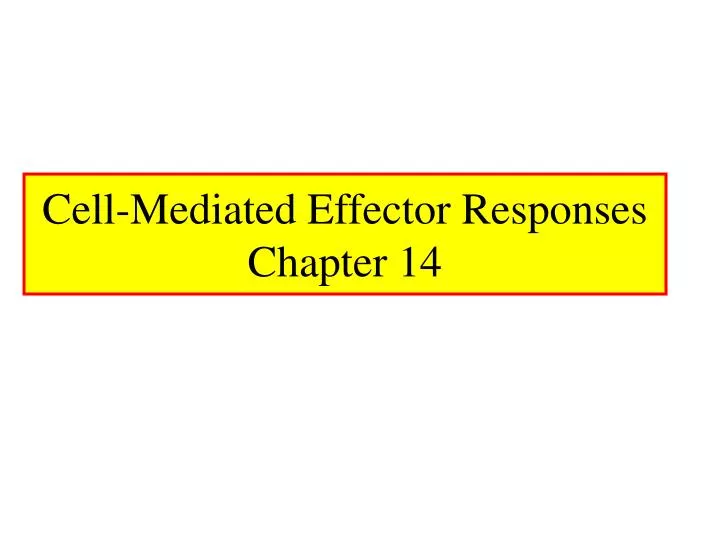 cell mediated effector responses chapter 14