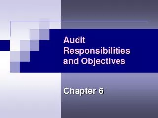 audit responsibilities and objectives