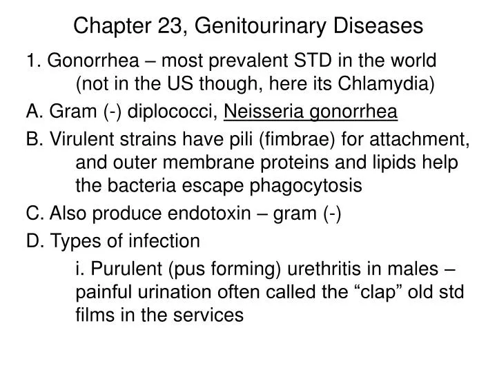 chapter 23 genitourinary diseases