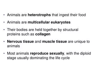 Animals are heterotrophs that ingest their food Animals are multicellular eukaryotes