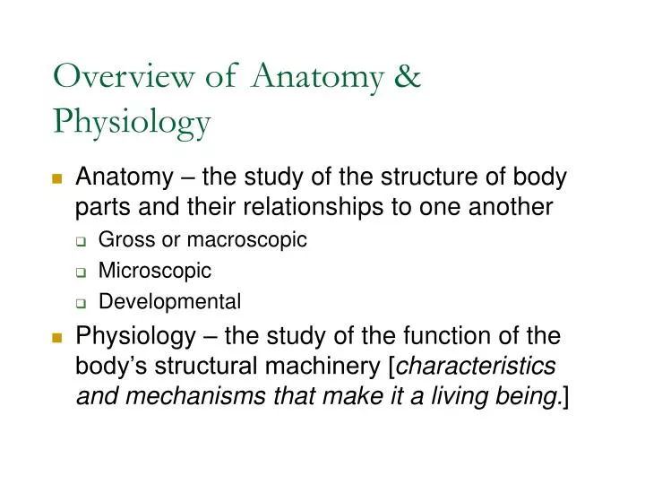 overview of anatomy physiology