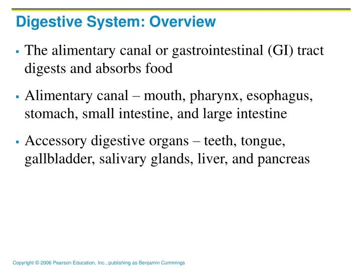 PPT - Digestive System: Overview PowerPoint Presentation, free download ...