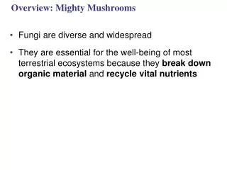 Overview: Mighty Mushrooms