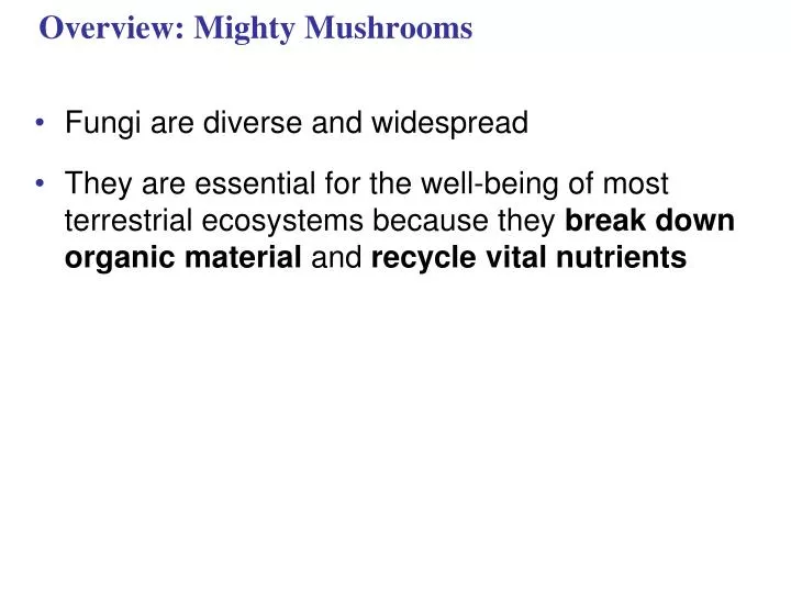 overview mighty mushrooms