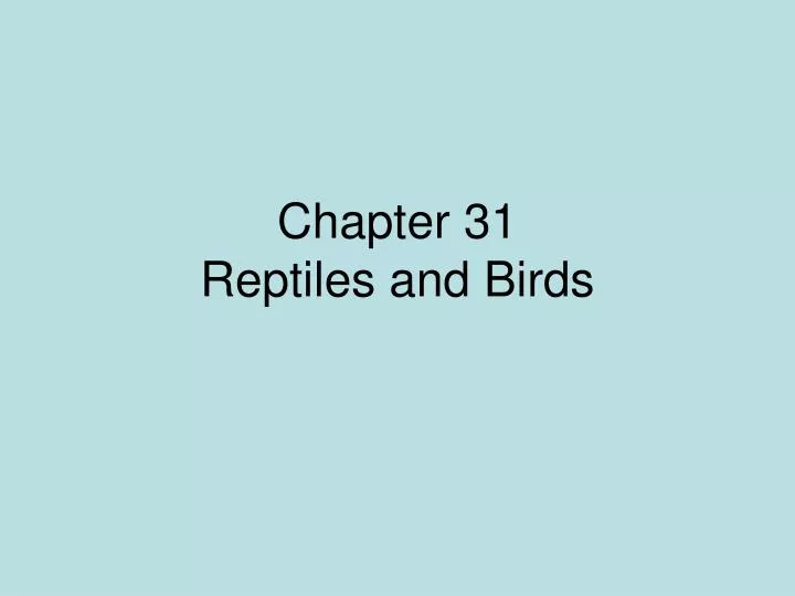 chapter 31 reptiles and birds