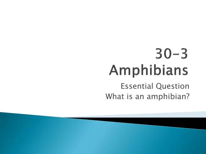 30 3 amphibians