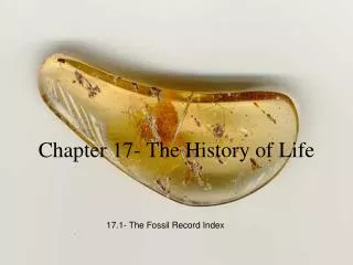 Chapter 17- The History of Life