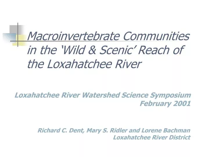 macroinvertebrate communities in the wild scenic reach of the loxahatchee river