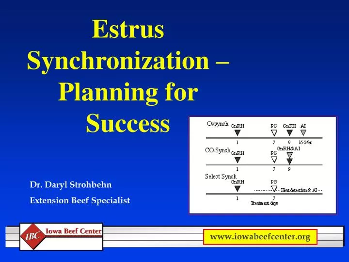 estrus synchronization planning for success