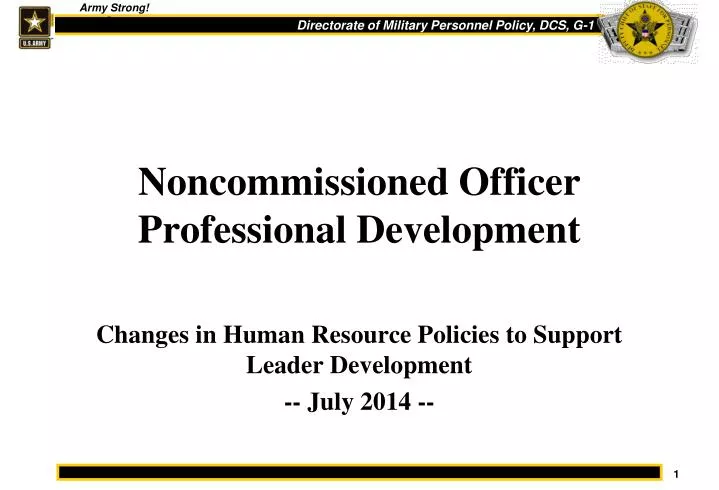 noncommissioned officer professional development