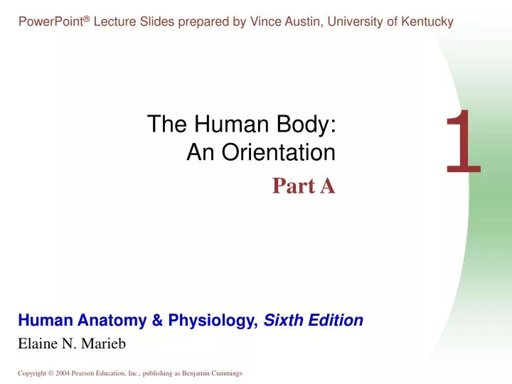 the human body an orientation part a