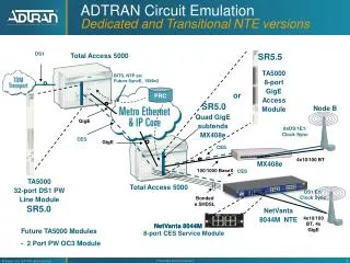 ADTRAN Circuit Emulation Dedicated and Transitional NTE versions
