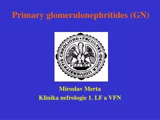 Primary glomerulonephritides (GN)