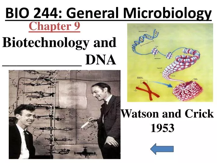 bio 244 general microbiology