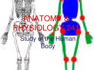 ANATOMY &amp; PHYSIOLOGY 241