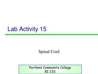 Lab Activity 15