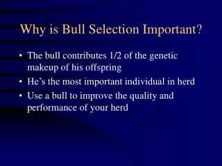 Why is Bull Selection Important?