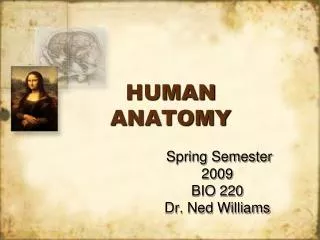 HUMAN ANATOMY