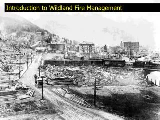 Introduction to Wildland Fire Management