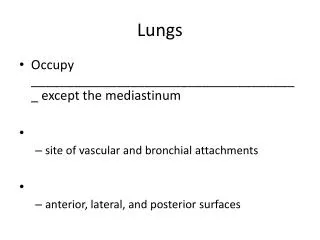 Lungs