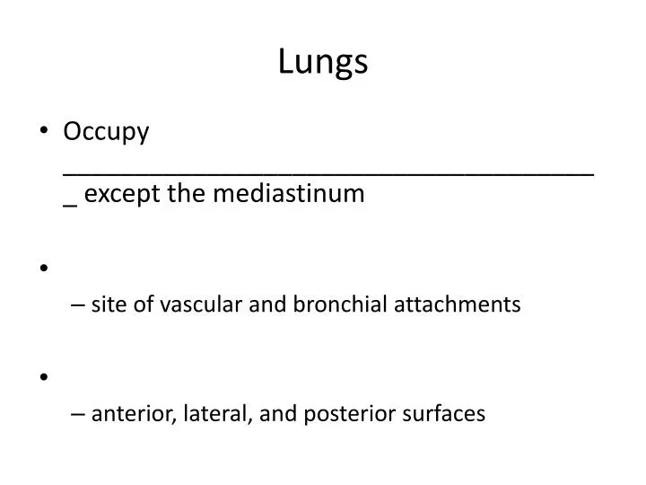 lungs