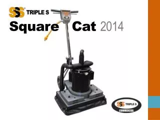 Square Cat 2014