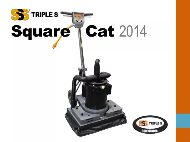 square cat 2014