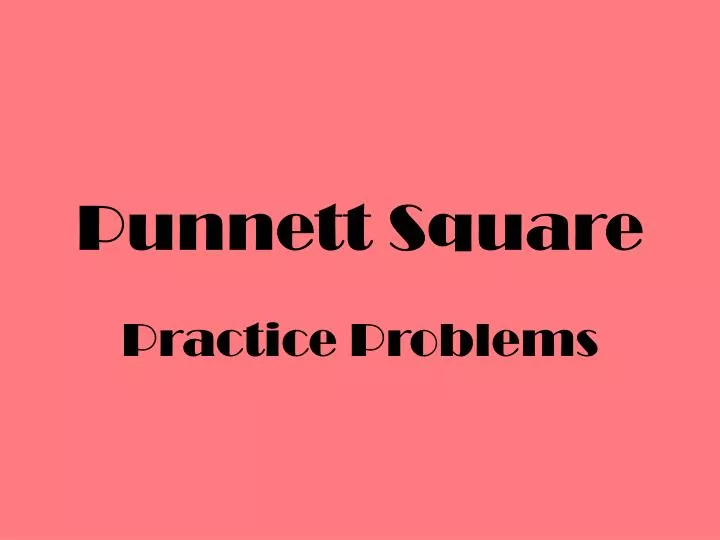 punnett square