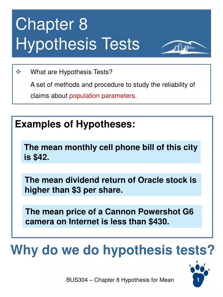 chapter 8 hypothesis tests