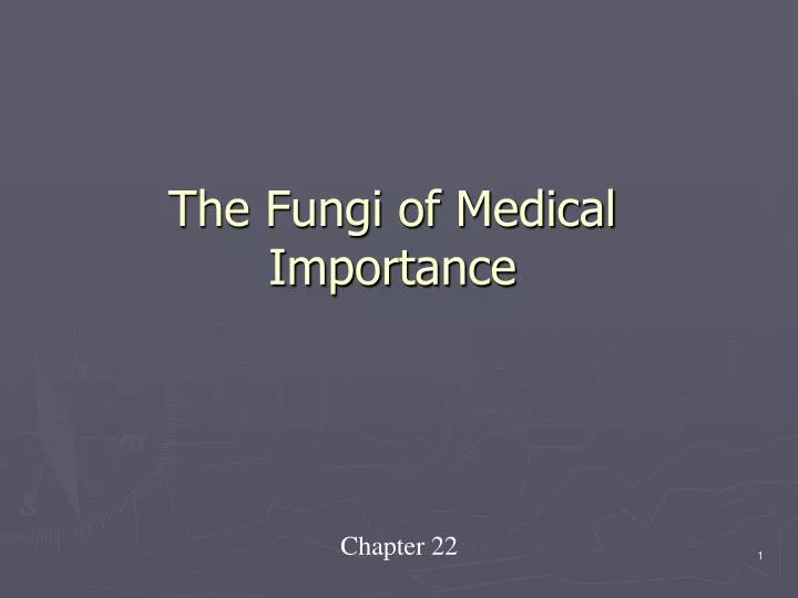 the fungi of medical importance