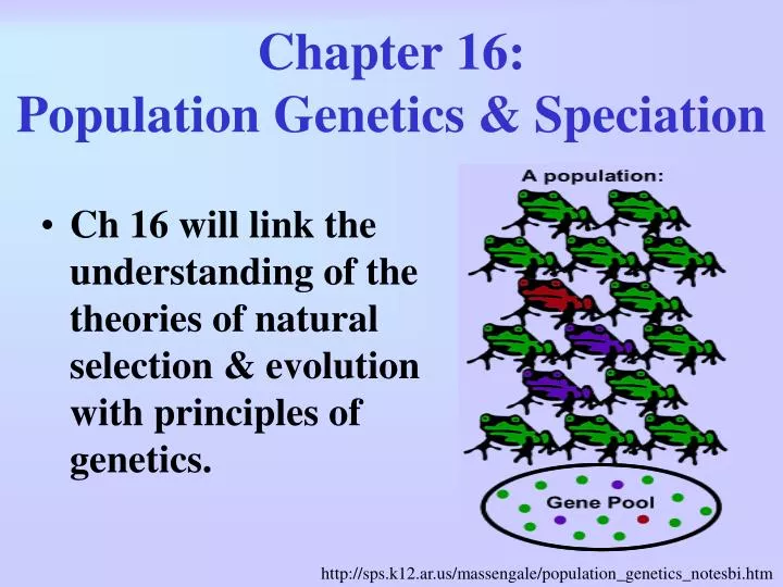 chapter 16 population genetics speciation