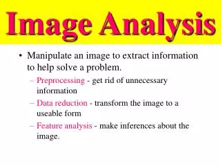 Image Analysis