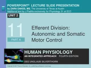 Efferent Division: Autonomic and Somatic Motor Control