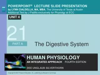 The Digestive System