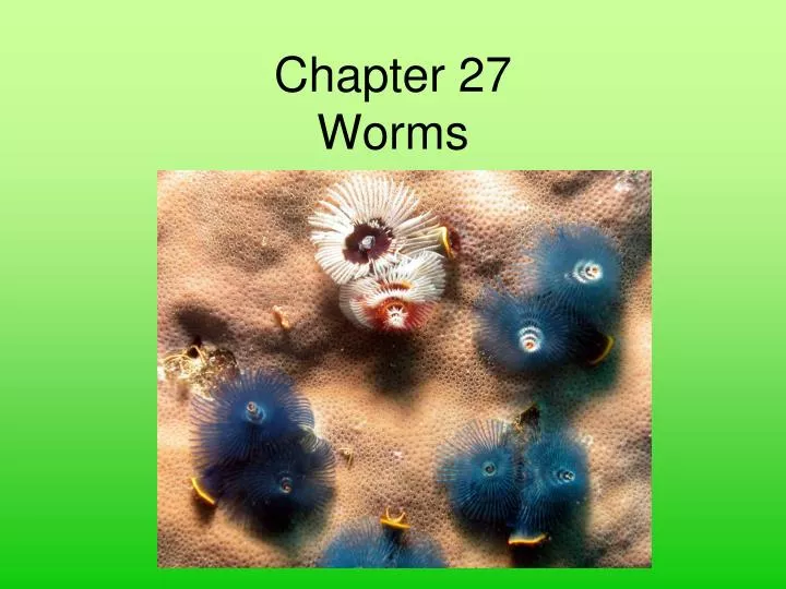 chapter 27 worms