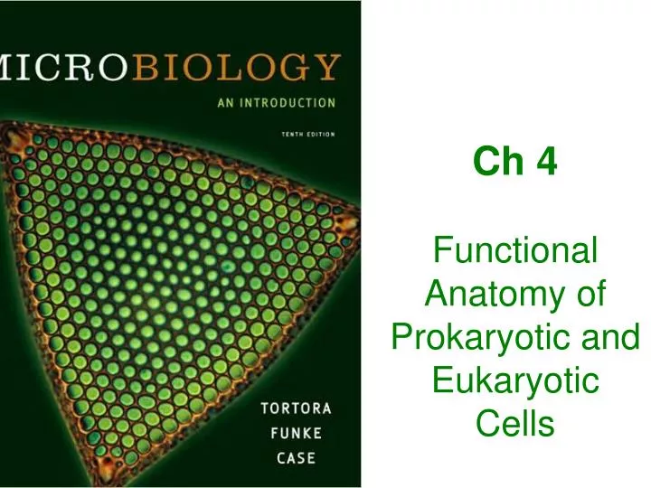 Ppt Ch 4 Functional Anatomy Of Prokaryotic And Eukaryotic Cells Powerpoint Presentation Id