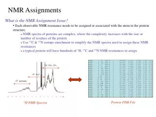 What is the NMR Assignment Issue?