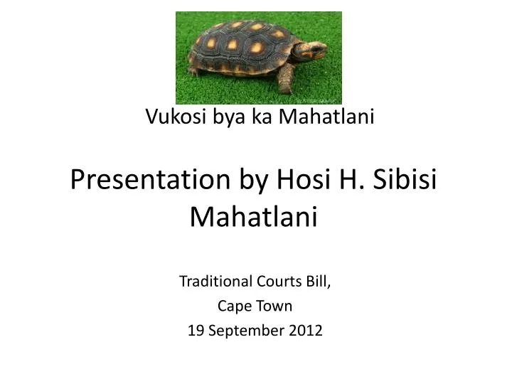 presentation by hosi h sibisi mahatlani
