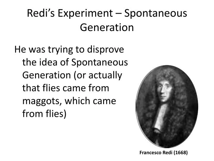 redi s experiment spontaneous generation