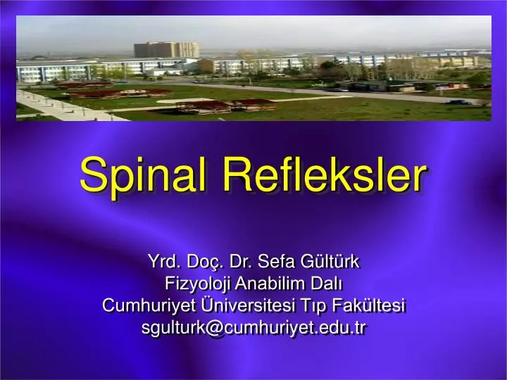 spinal refleksler