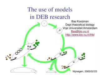 The use of models in DEB research